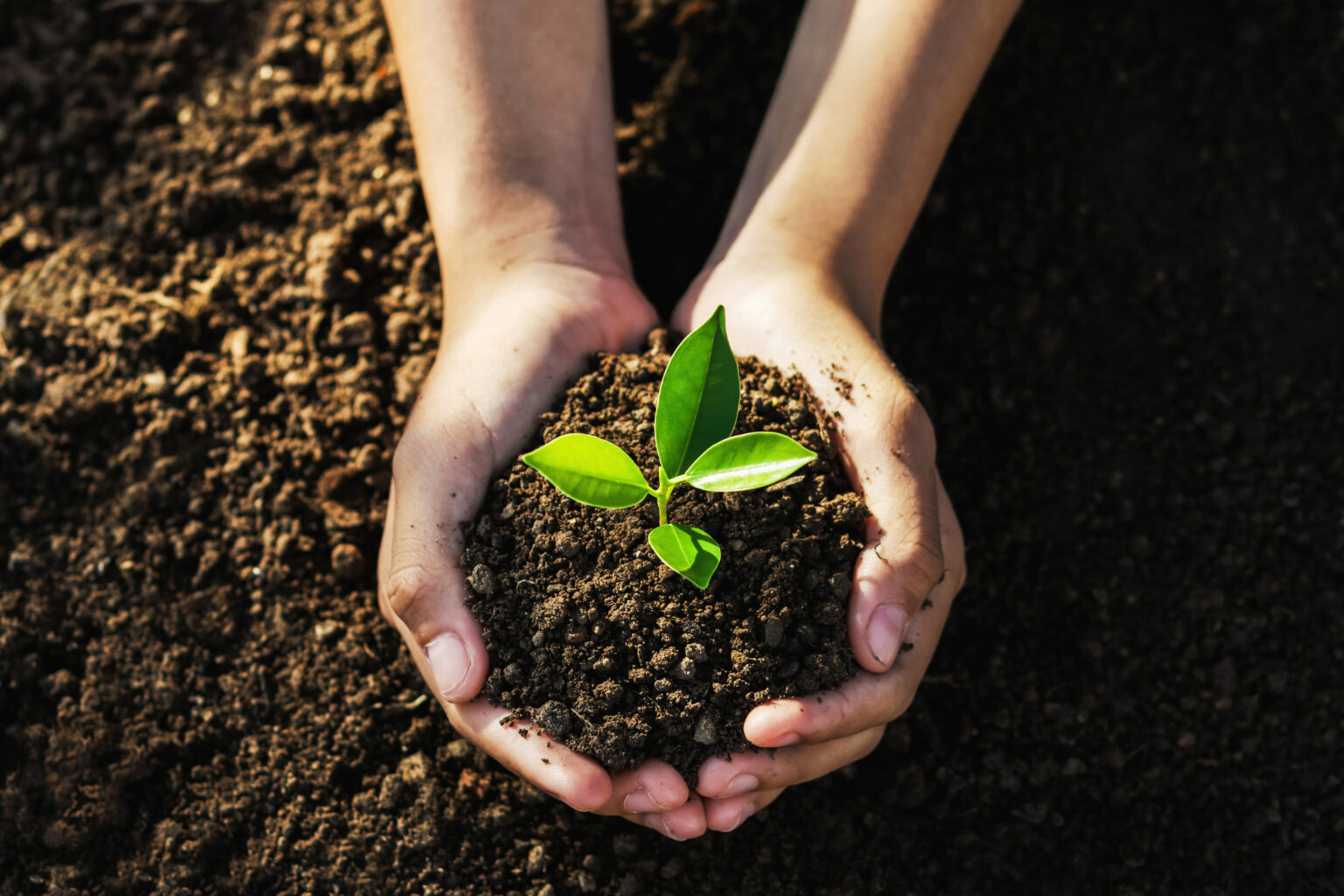 Earth Day 2025: Advanced IPM’s Commitment to Sustainability