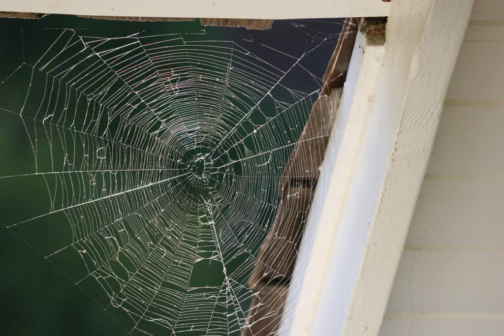 A finely woven white spiderweb in a corner of a house.